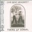 Teens of Denial (Japanese Bonus Tracks)