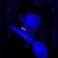 HOLLOW HOUSES - Single
