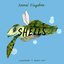Animal Kingdom: Shells