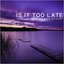 Is it too late (feat. Lena Belgart)