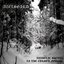 Diabolic Ritual in the Cursed Forest