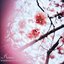Whispers in Summer