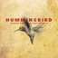 Hummingbird - Single