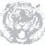 Tiger Side Up