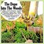 Into The Woods