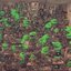 FROGPOCALYPSE