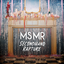 MS MR - Secondhand Rapture album artwork