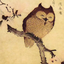 Avatar for g00dnight