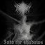 Shadows - Single