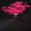 Dream Shift [Explicit]