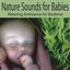 Nature Sounds for Babies: Relaxing Ambiance for Bedtime, Naptime, Baby Lullabies, Lullabys for Babies