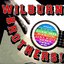 Wilburn Brothers