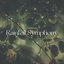 Rainfall Symphony