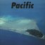 Pacific