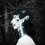 Death - Single
