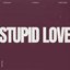 Stupid Love