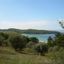 What_If_Yes için avatar
