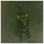 This Is About Summer - Single