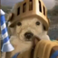Avatar for marioomaigod