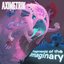 Fragments Of The Imaginary