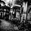 They All Lay in Stone Houses