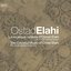 The Celestial Music of Ostad Elahi