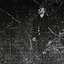 The Epitome of the End of the Cavernous Forestry