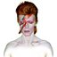 Aladdin Sane (40th Anniversary Edition)