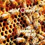 Honey-Beat