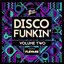 Disco Funkin', Vol. 2 (Curated by Flevans) [DJ Mix]