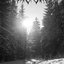 Unter dem Banner des Eises