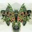 Lunz Reinterpretations