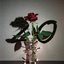 20 - Single