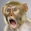 Avatar für sg01