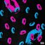 Boygirl - Single