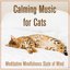 Calming Music For Cats: Meditative Mindfulness State of Mind