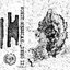 Demo II