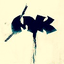 Avatar for Matthew5464