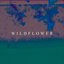 Wildflower - Single