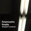 Anamorphic Reality