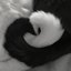 Everything Is Romantic (Wuthering Heights Orchestral Version)