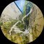 Bloom EP