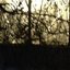 The Pleasure Garden