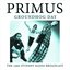 Groundhog Day (Live)