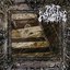 Attics And Catacombs