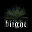 Blight