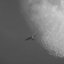 updraft