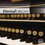 Eternal Organ