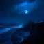 A Sleepless Night's Nocturne - Single