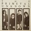 The Primeval Unknown